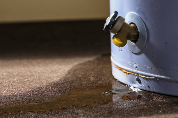 Best Professional water damage repair  in Holt, AL