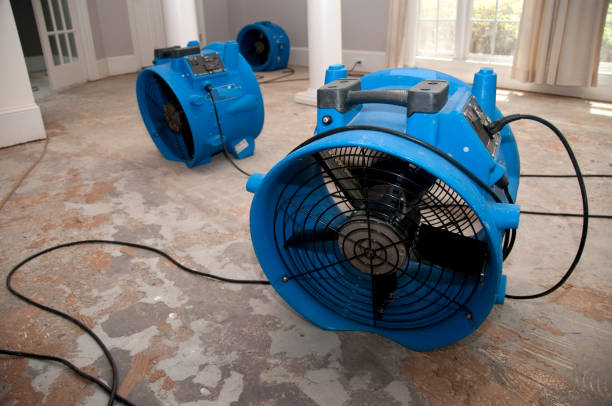 Best Water damage restoration services  in Holt, AL