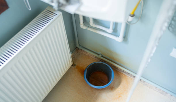 Best Water damage restoration near me  in Holt, AL